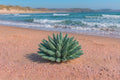 riccio verde ceramica